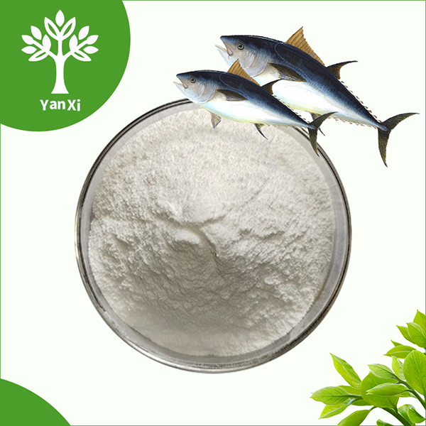Fish Collagen Powder Bulk Fish Collagen Powder Bulk
